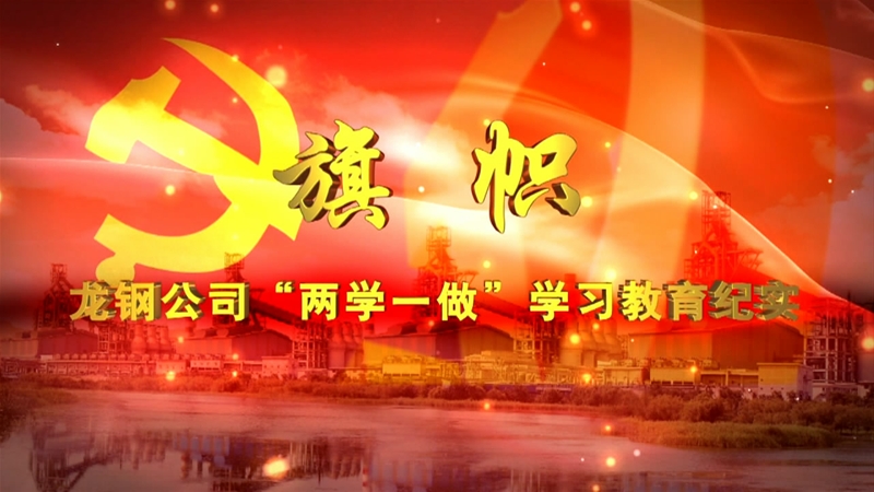 公司“两学一做”学习教育纪实